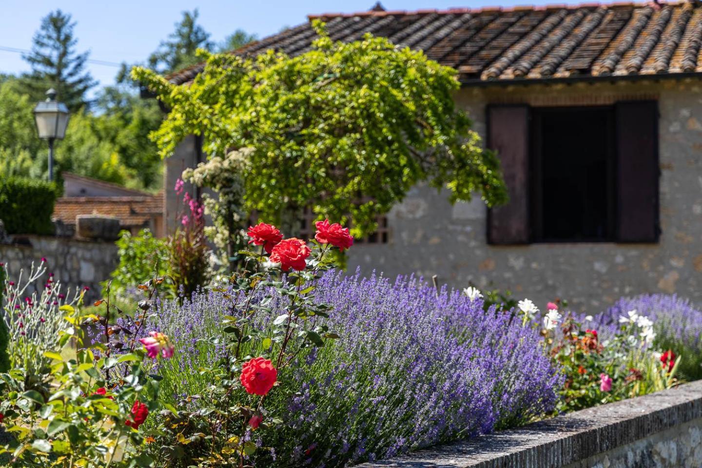 Ferienwohnung Il Fienile Dei Cardinali Colle di Val d'Elsa Exterior foto